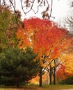 UW Green Bay in fall